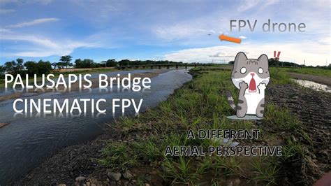 palusapis munoz nueva ecija|PALUSAPIS BRIDGE .
